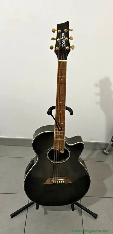 Guitare acoustique Sahlan SSG74TBK – noire
