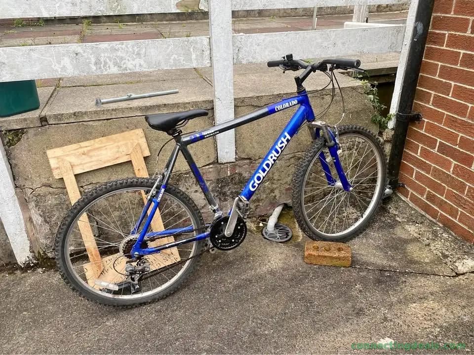 Goldrush 21 speed bicycle - Image 1