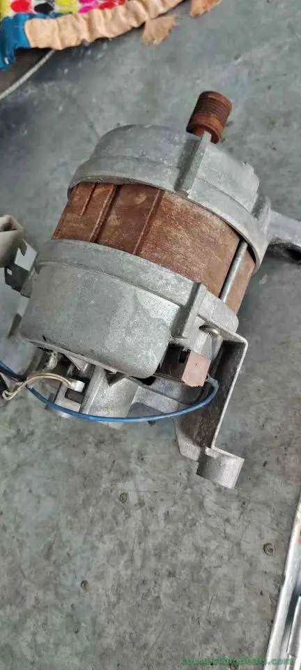Washing machine motor