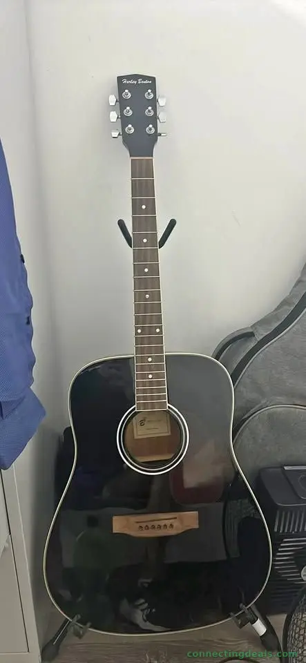 Guitar