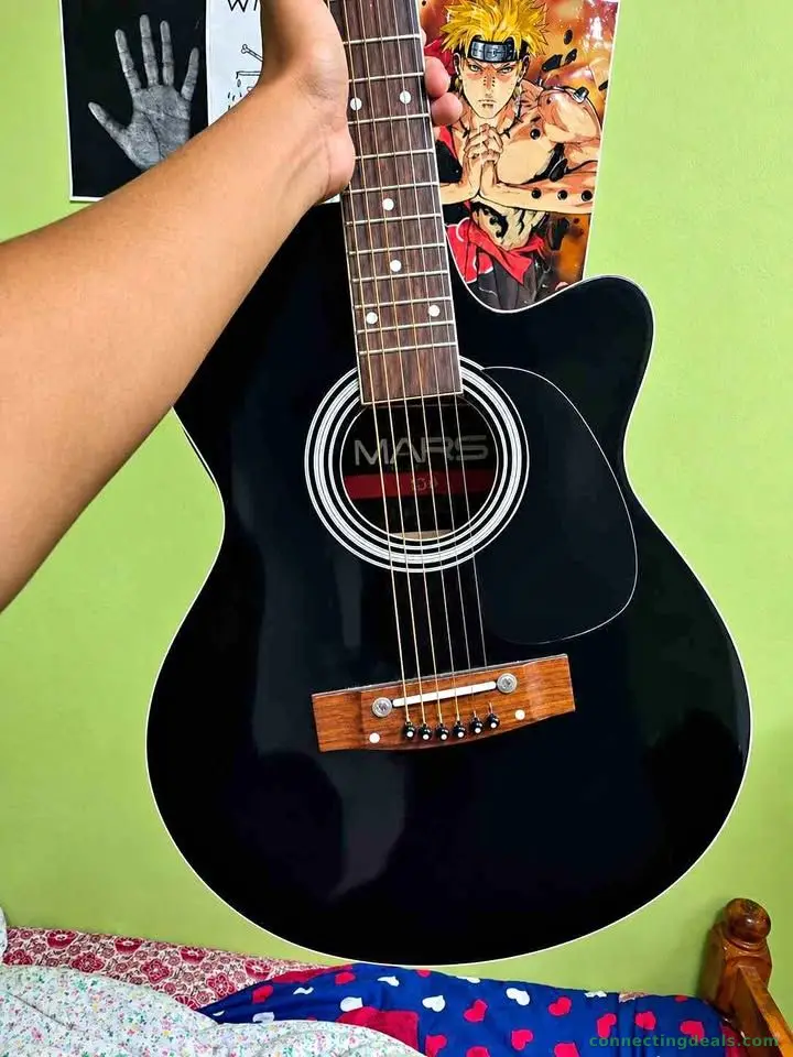 Guitar