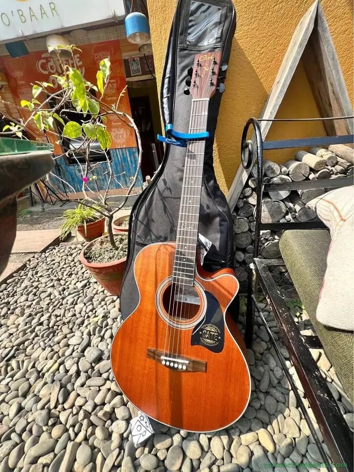 Cate guitar