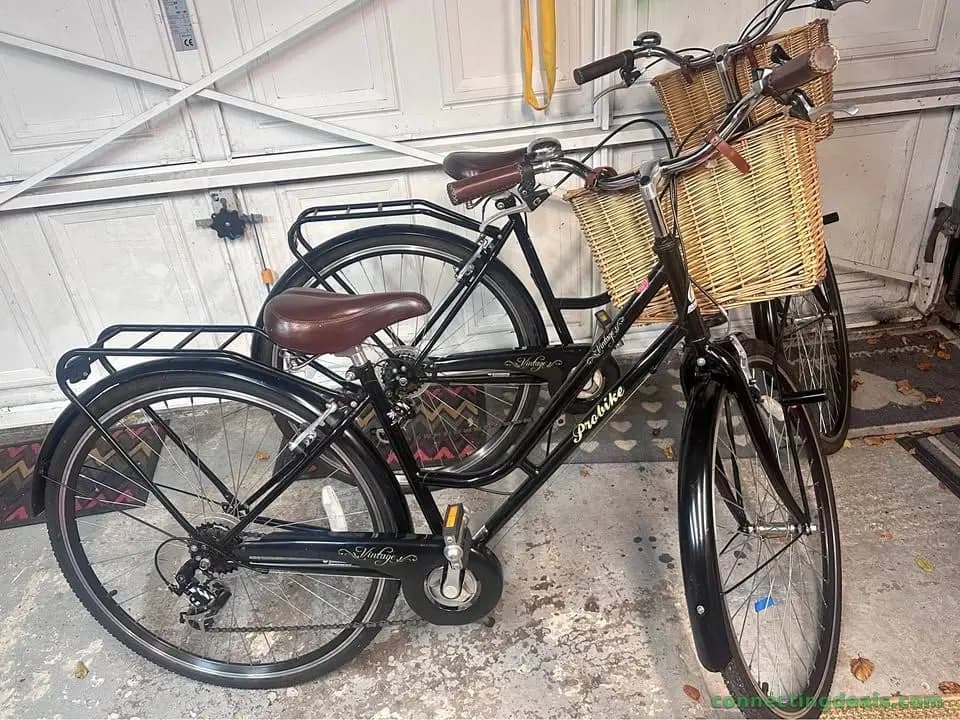 2 x vintage pro bike Dutch style bikes