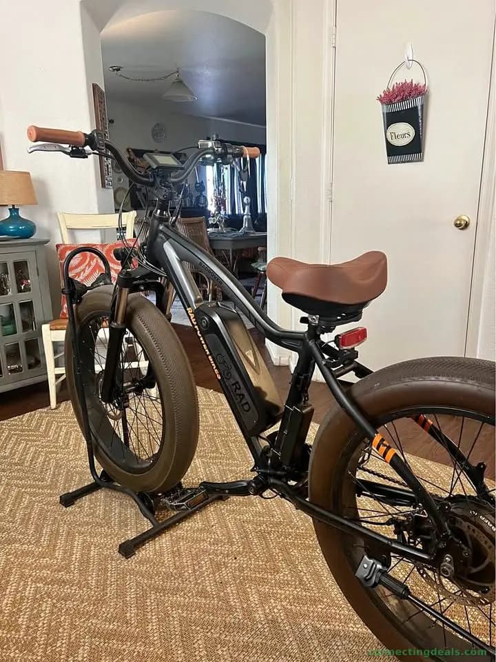 Rad Power Bikes RadRover Electric Fat Bike