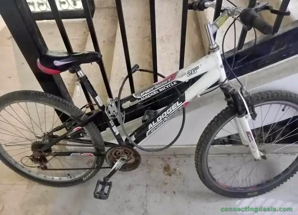 Bicycle