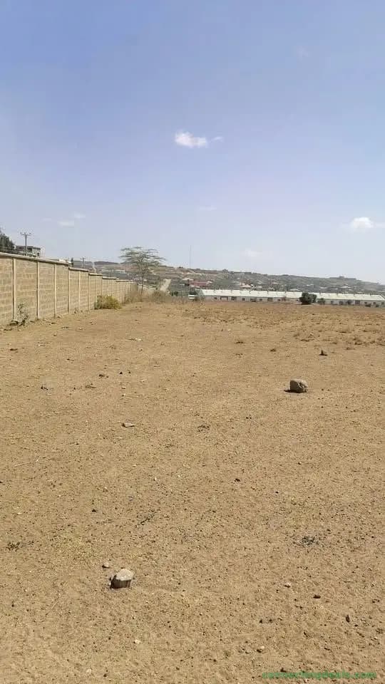 2.5acres am leasing at Cabanas on your way to ICD