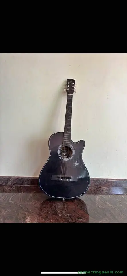 Guitar
