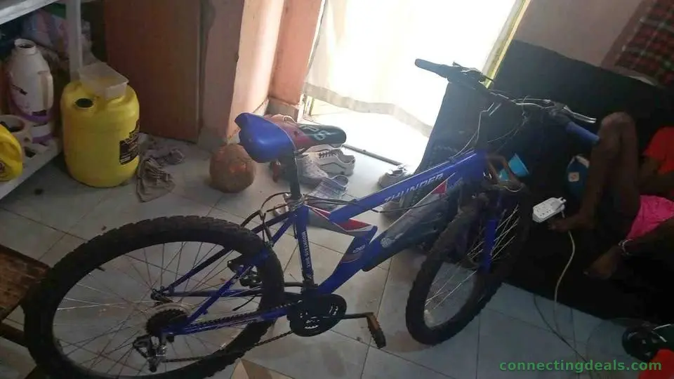 Bicycle for sale