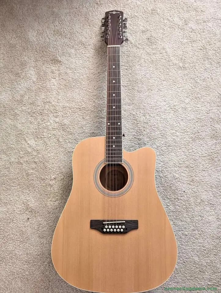 12 String Electric acoustic Guitar - Gears for