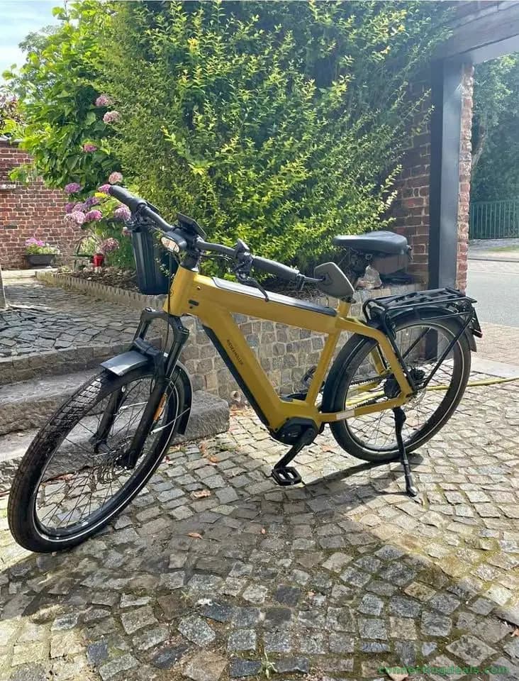 E bike