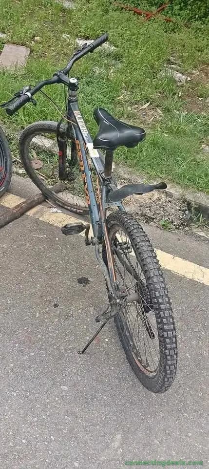 Second Cycle
