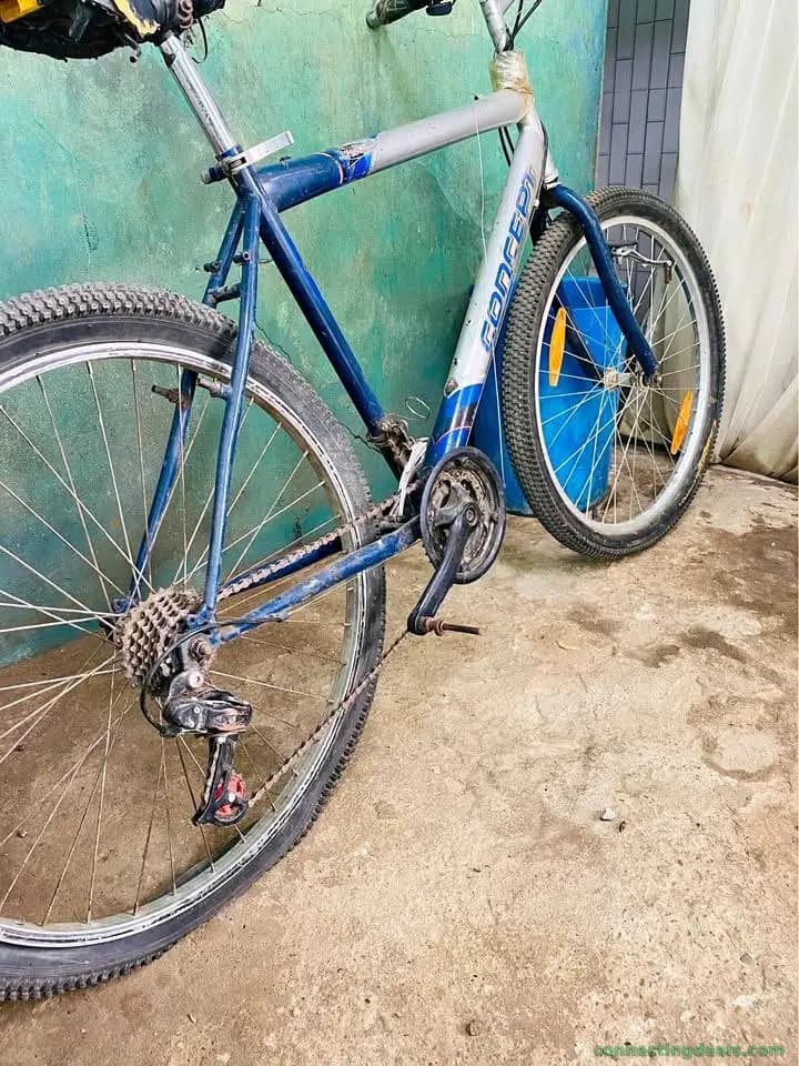 Bicicleta Grande 26