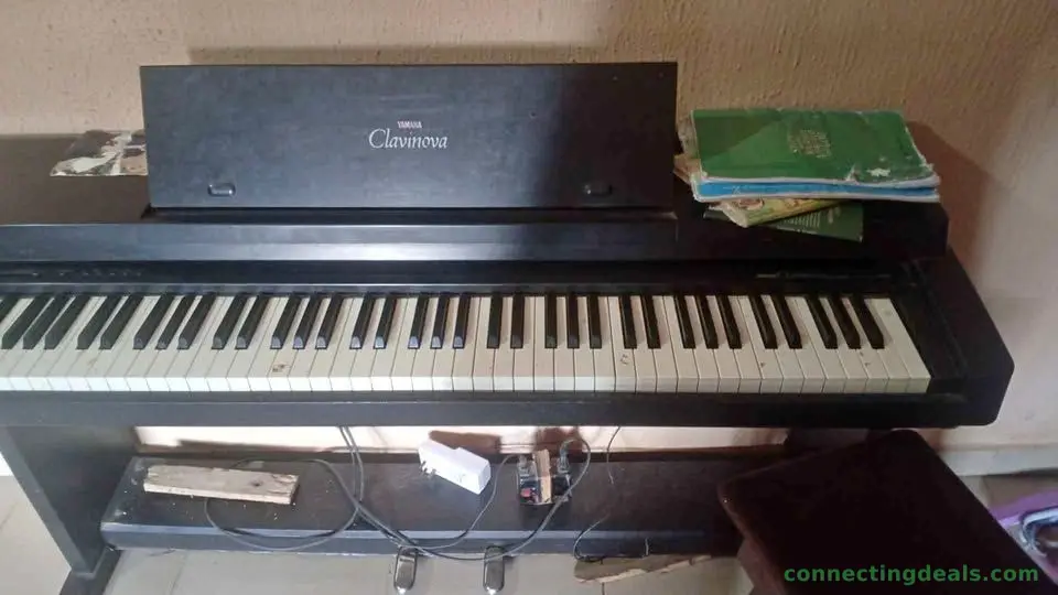 Musicals instrument