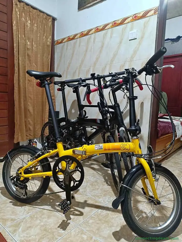 Polygon b2w 16" murni 305