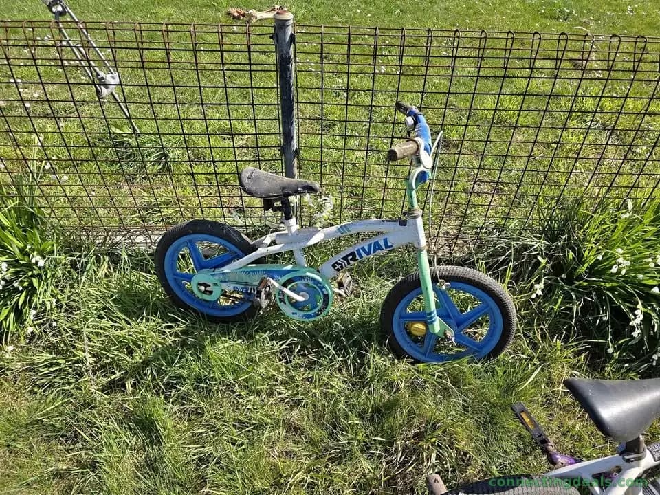 Bikes