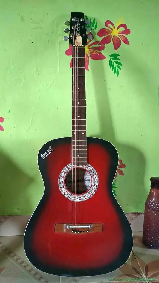 Guitar acoustic
