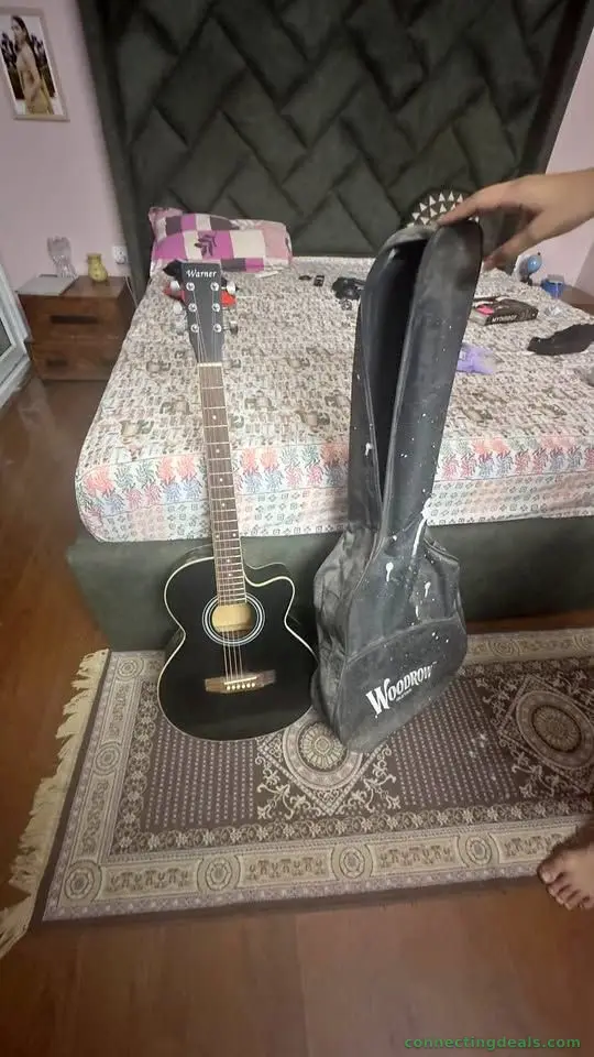 Guitar