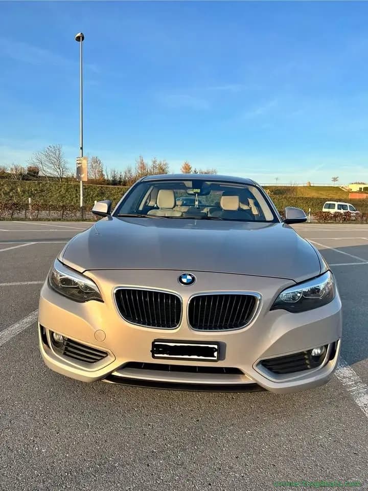 Bmw 220i