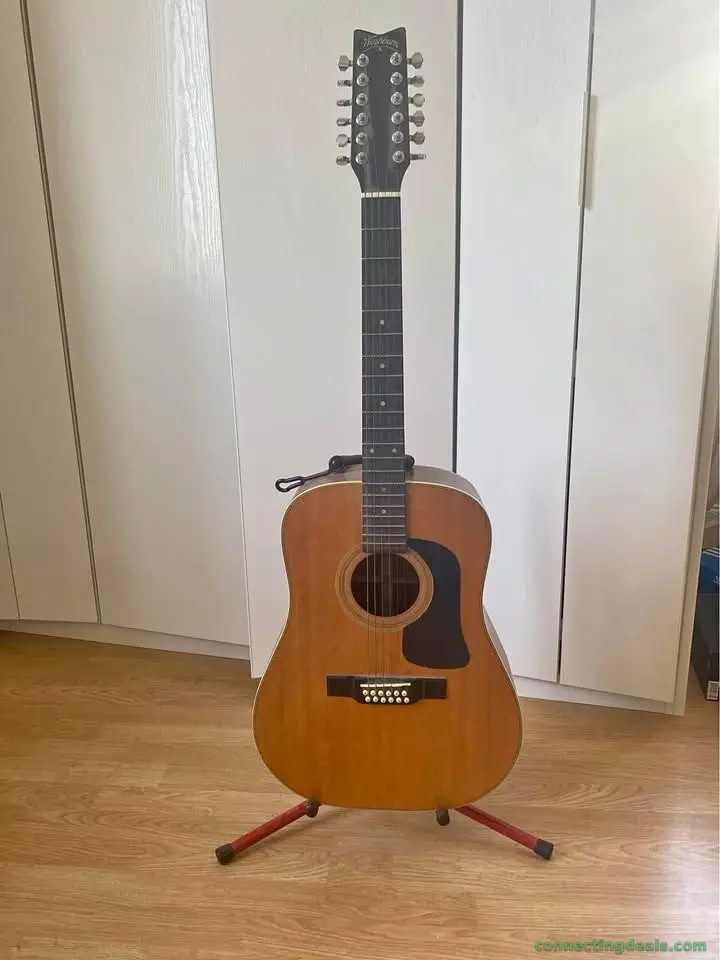 Guitare 12 cordes, Washburn