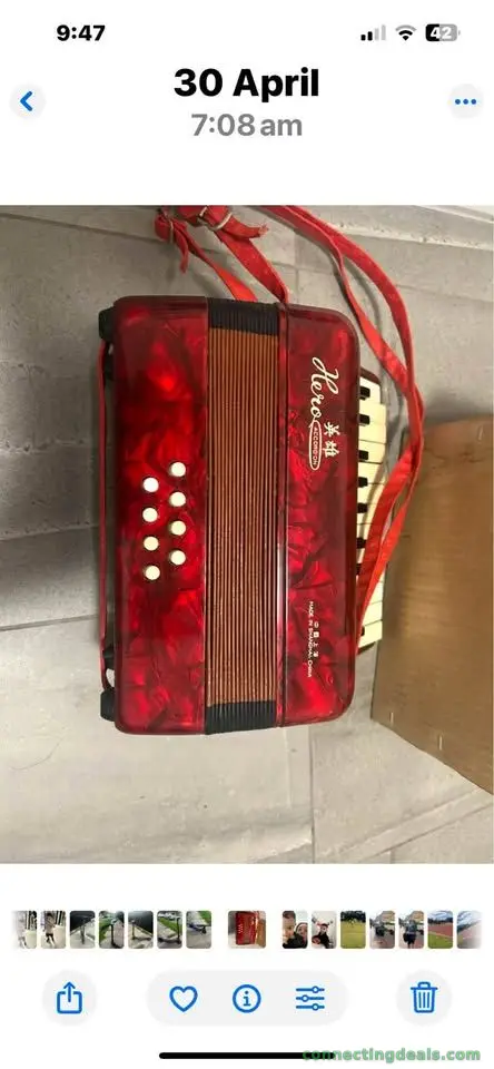 Musical instrument
