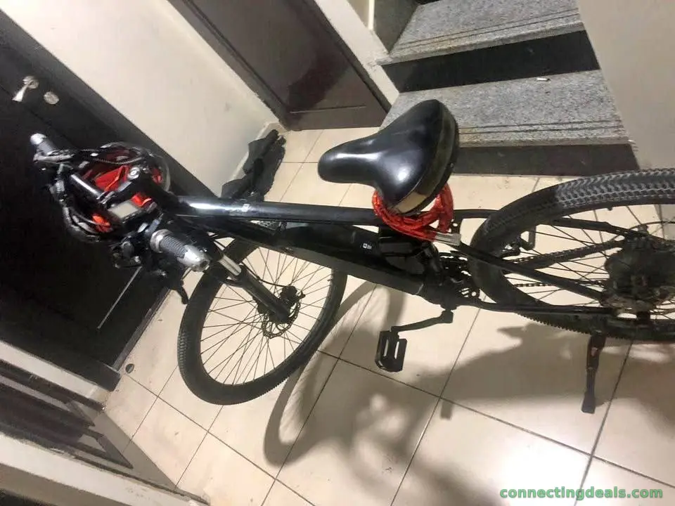 Electric Bicycle