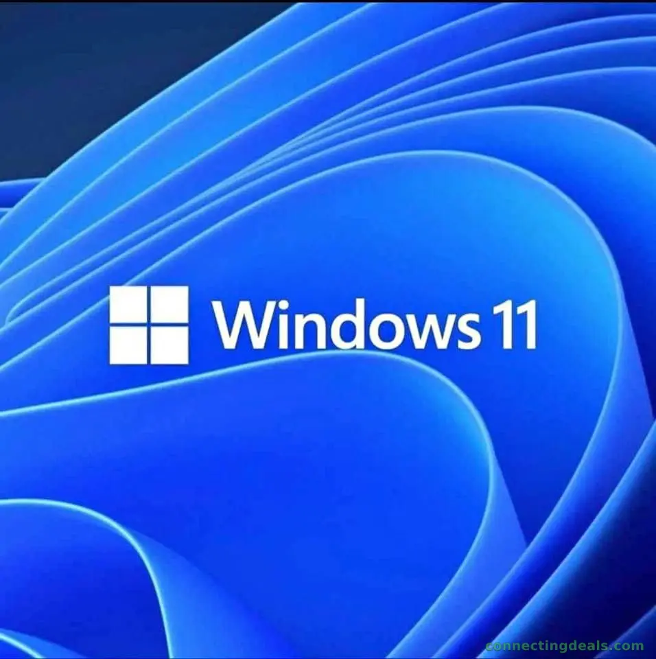 Windows 11 installation