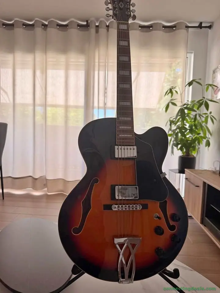 Lot Guitare Jazz Ibanez Artcore AF75 + Ampli