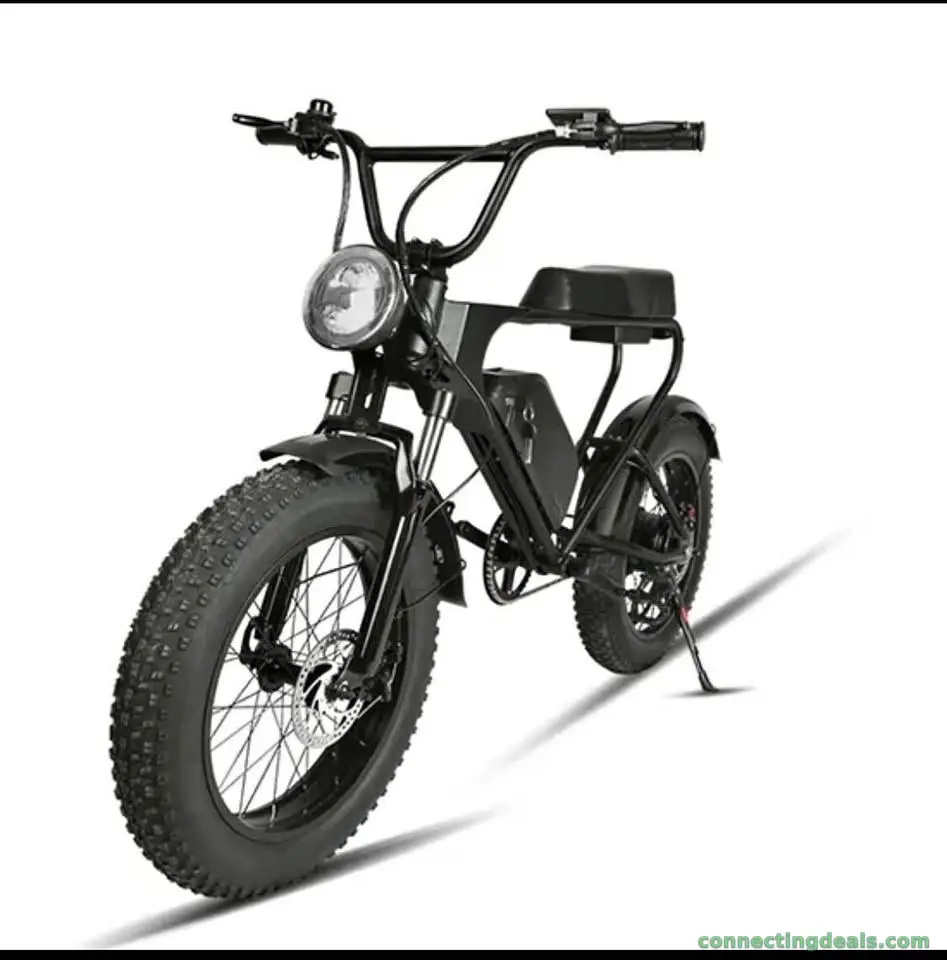 Fat bike électrique