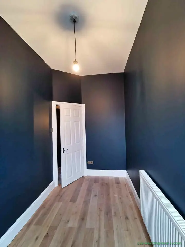 PAINTING & HANDYMAN SERVICES