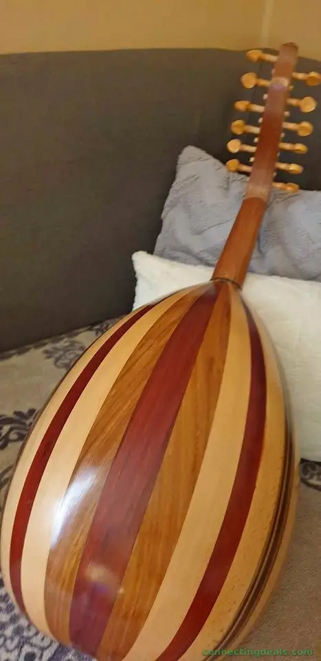 Egyptian oud instrument