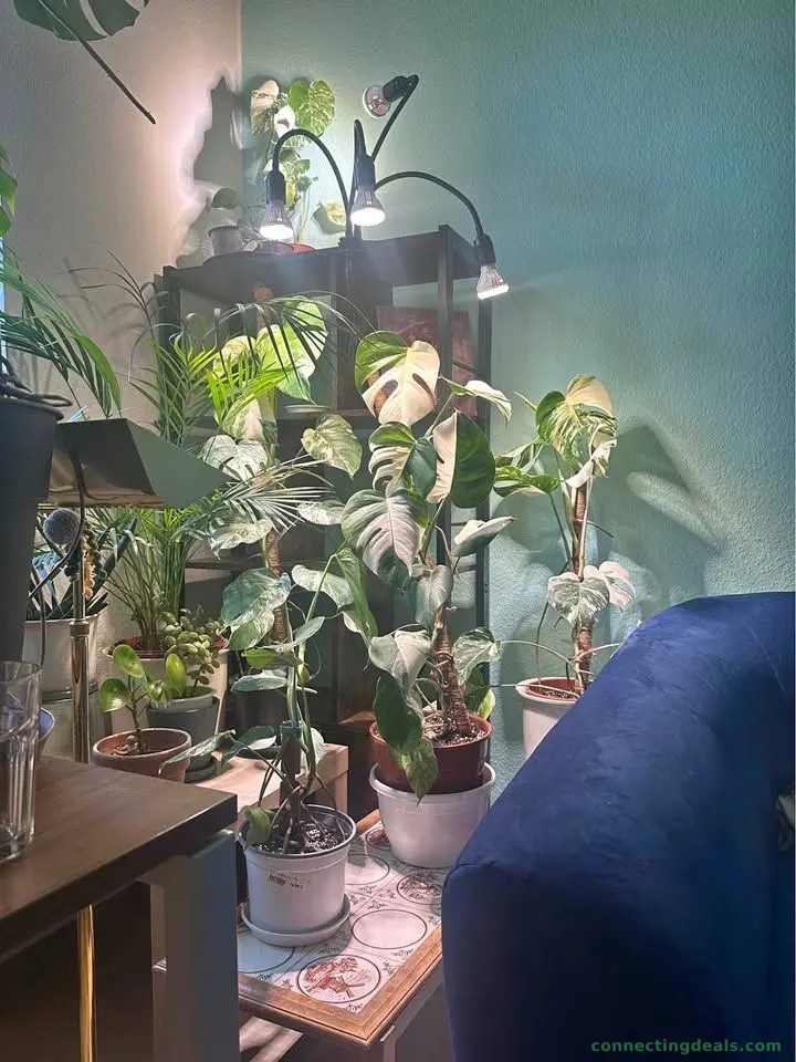 2-room Berlin apartment 11-20 September