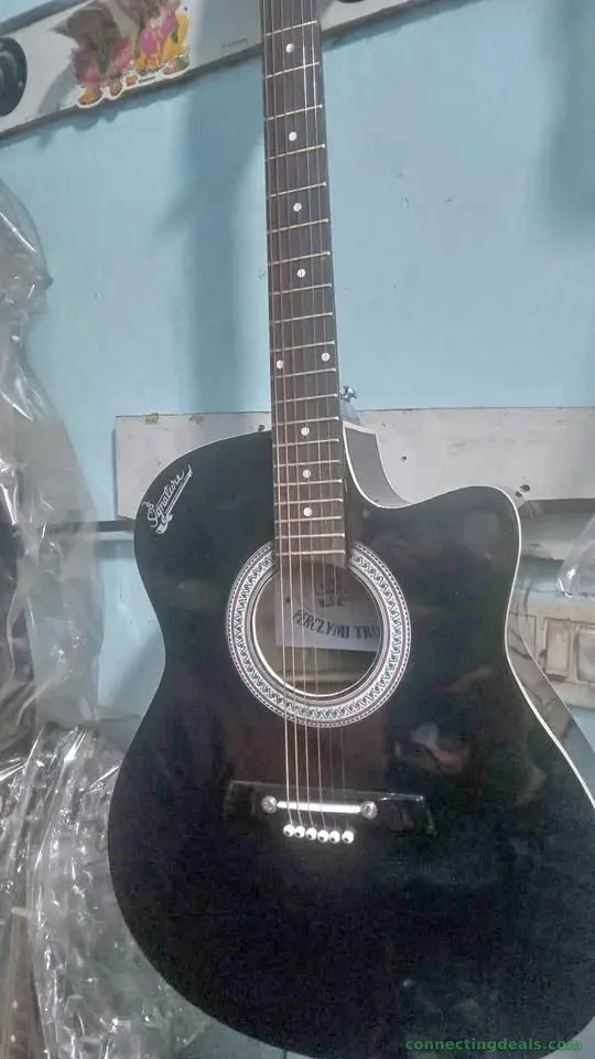 Guitar