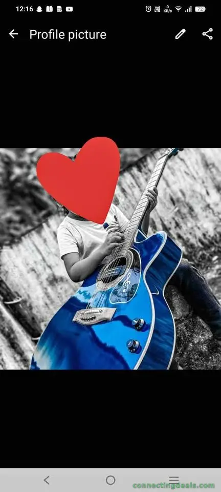 Guitar (electric)