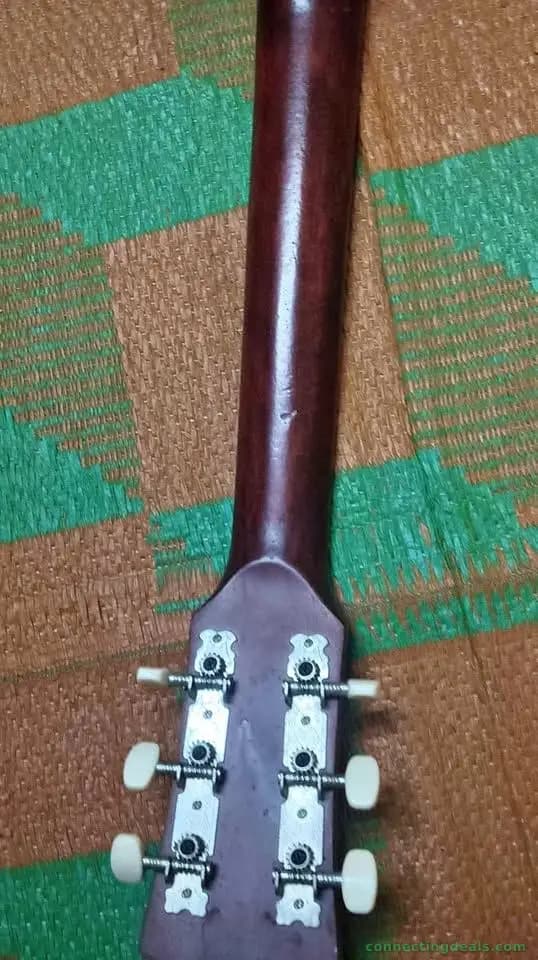 Revel Guitar for sale