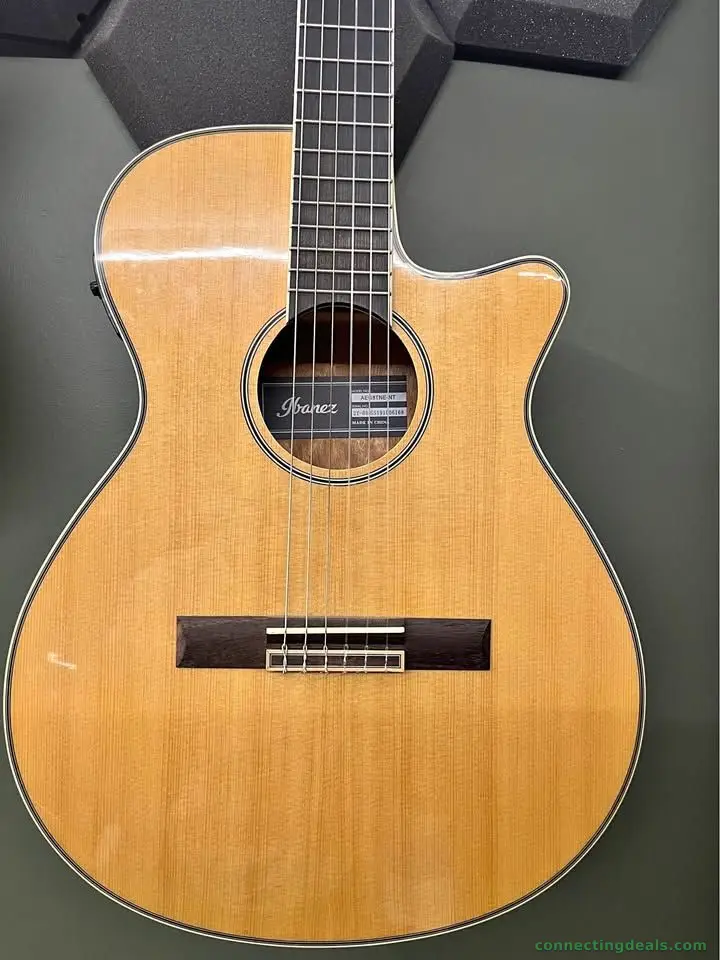 Ibanez AEG8TNE-NT for Sale