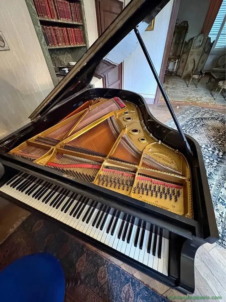 Steinway & Sons – Pianoforte a coda Modello A 3