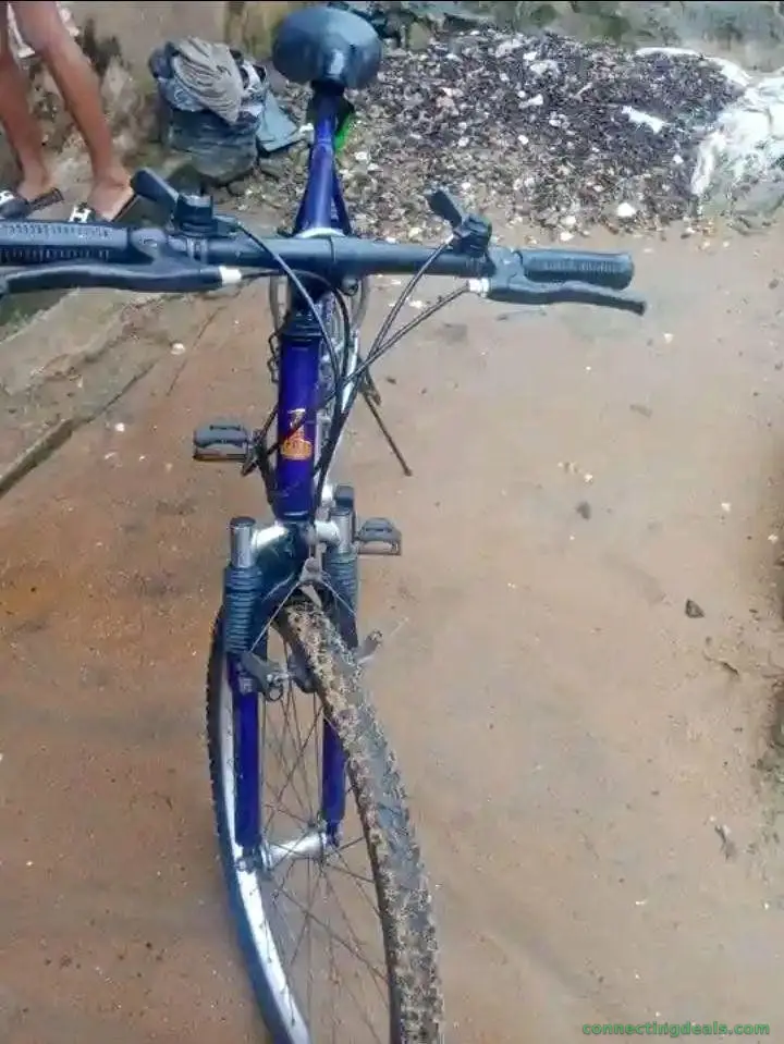 Mountain bicycle