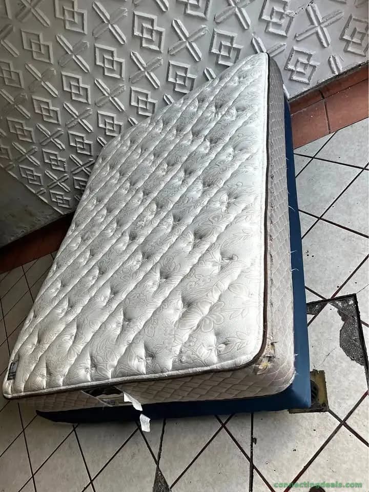 Never Used Mattress + Box Spring Bundle – All