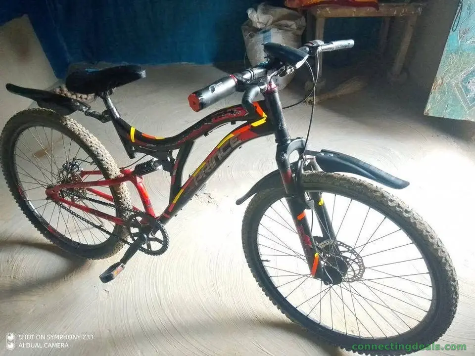 Modified Prince Bicycle