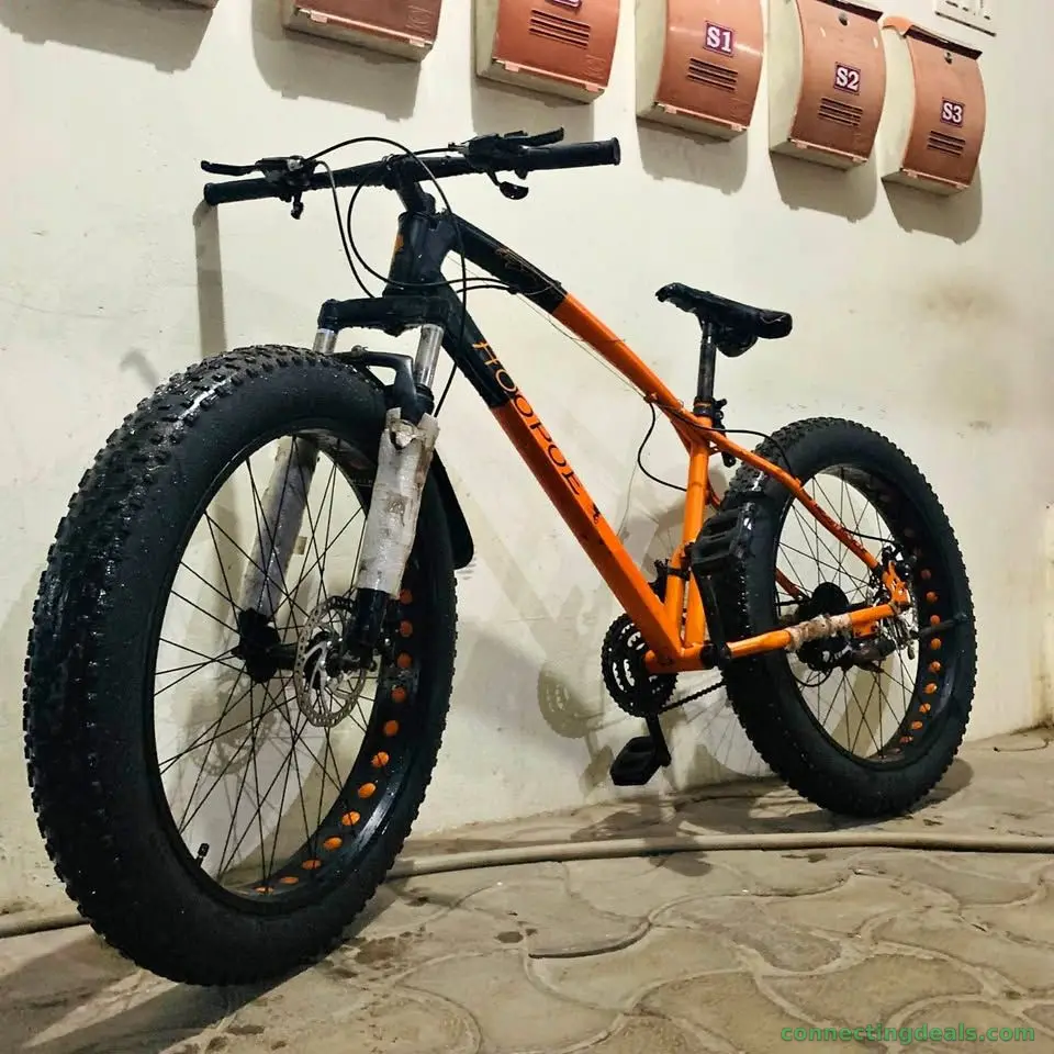 Hoopoe FAT BIKE 29T GEAR CYCLE