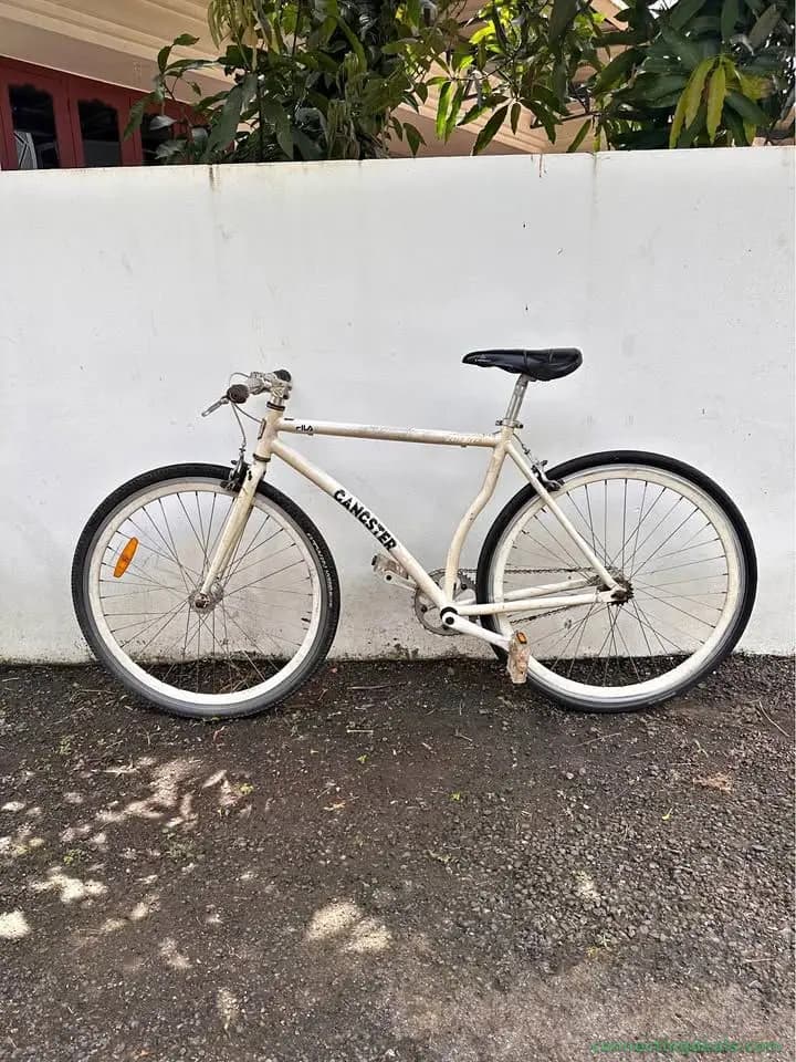 Fila Gangster FX1 Single Speed Bicycle