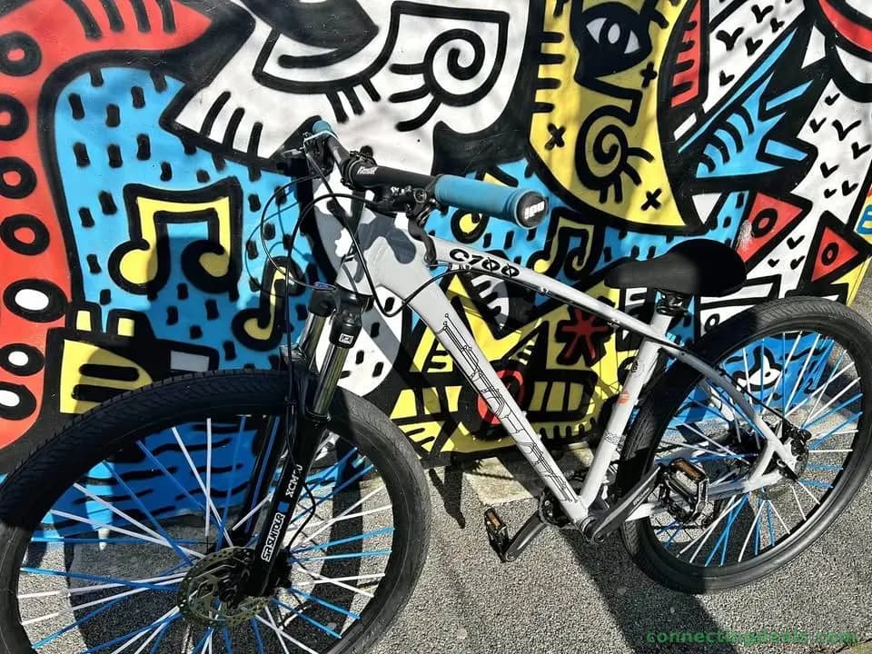 Vélo c 100 v2