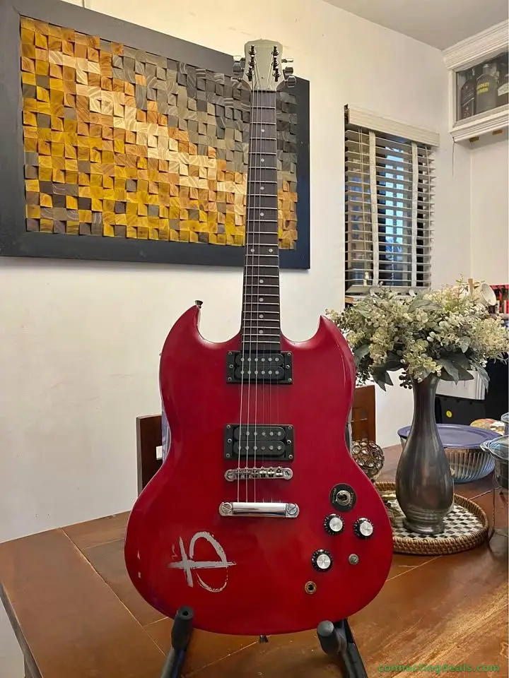 Fernando Electric Guitar & Laney Guitar Amplifier