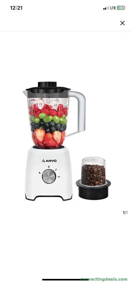 2 in 1 blender