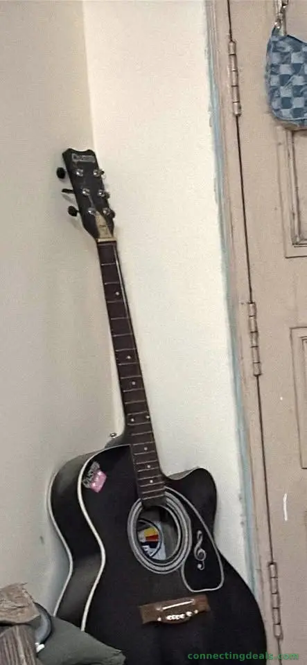 Guitar