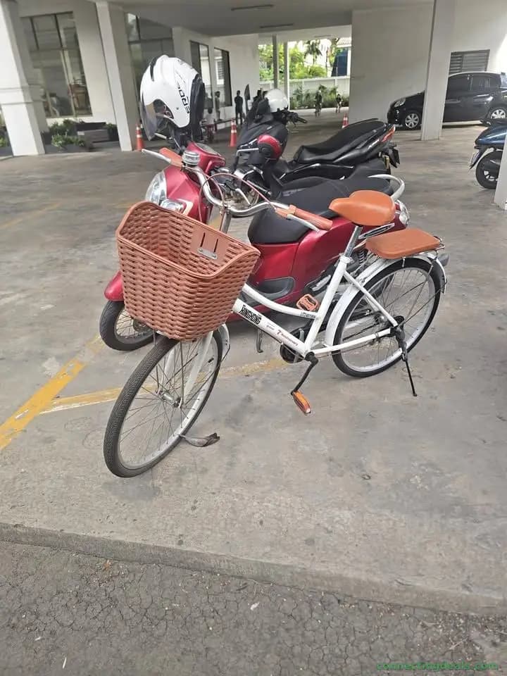 24” Women’s City Bicycle with Basket