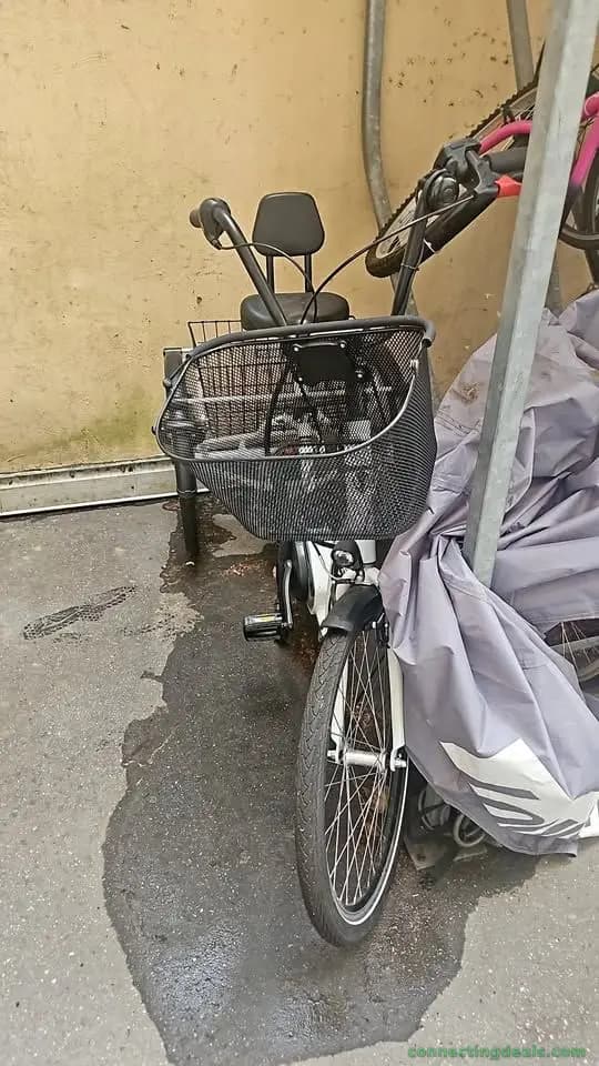 Pfautec Combot E-Bike
