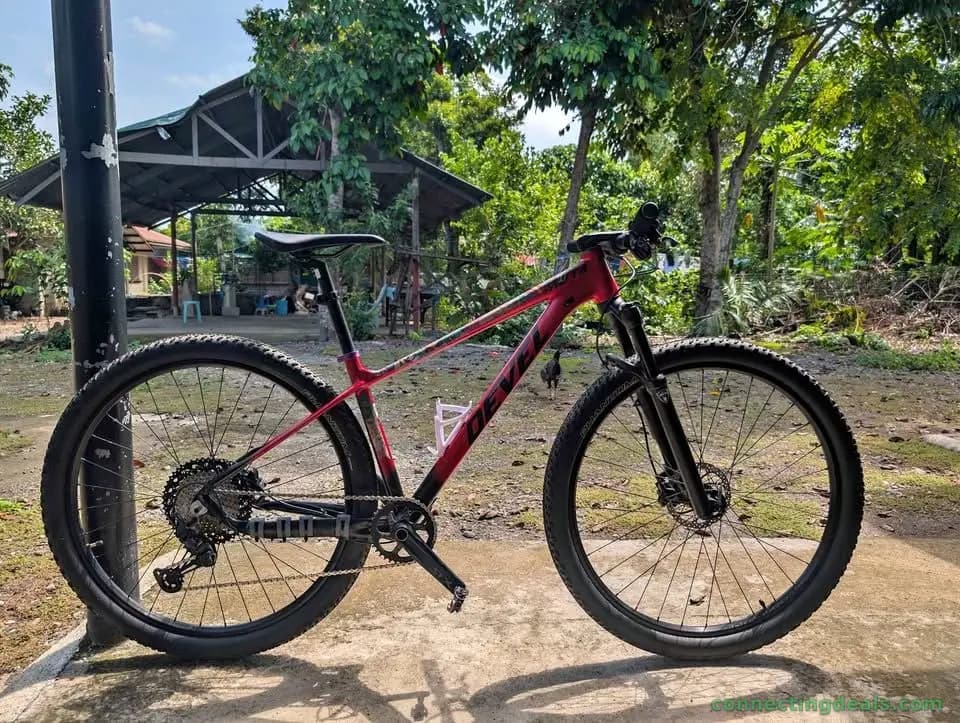 Mountain bike / Bike