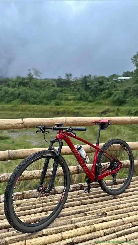 FOR SALE Whole Bike or Parts Out
