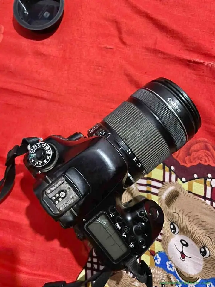 Canon 80d
